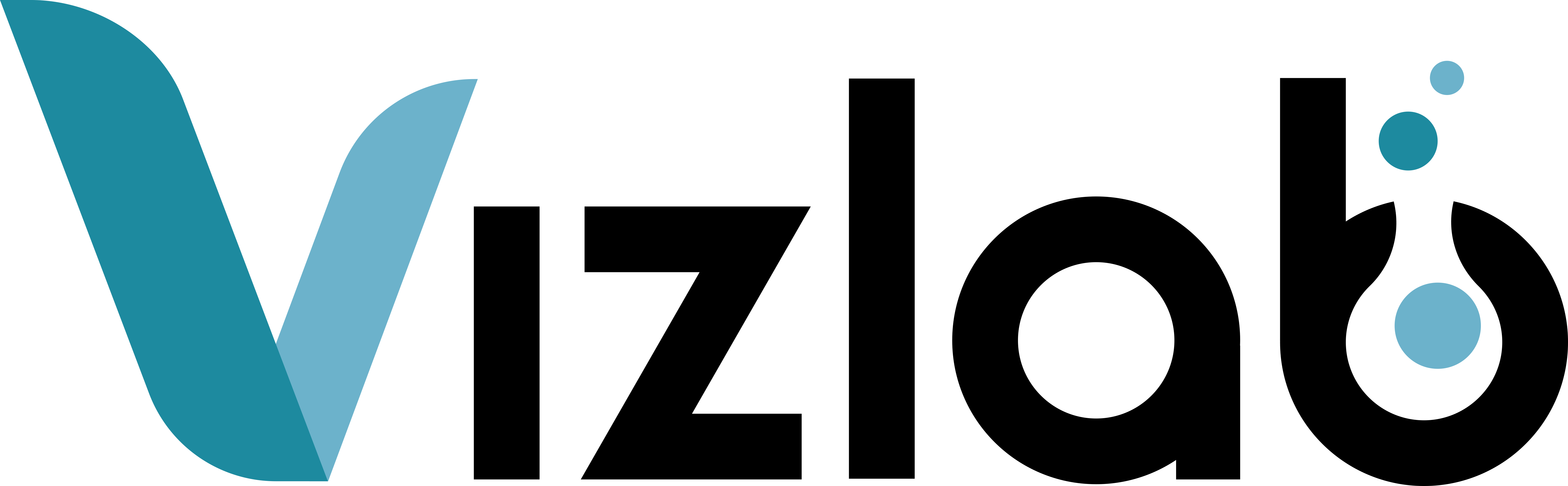 Vizlab Logo Image